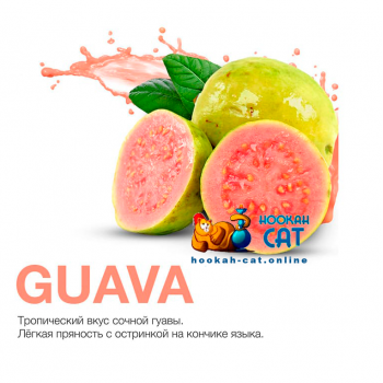 Табак для кальяна MattPear Classic Guava (МэтПир Классик Гуава) 250г - фото 1